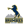 Brumbies.rugby