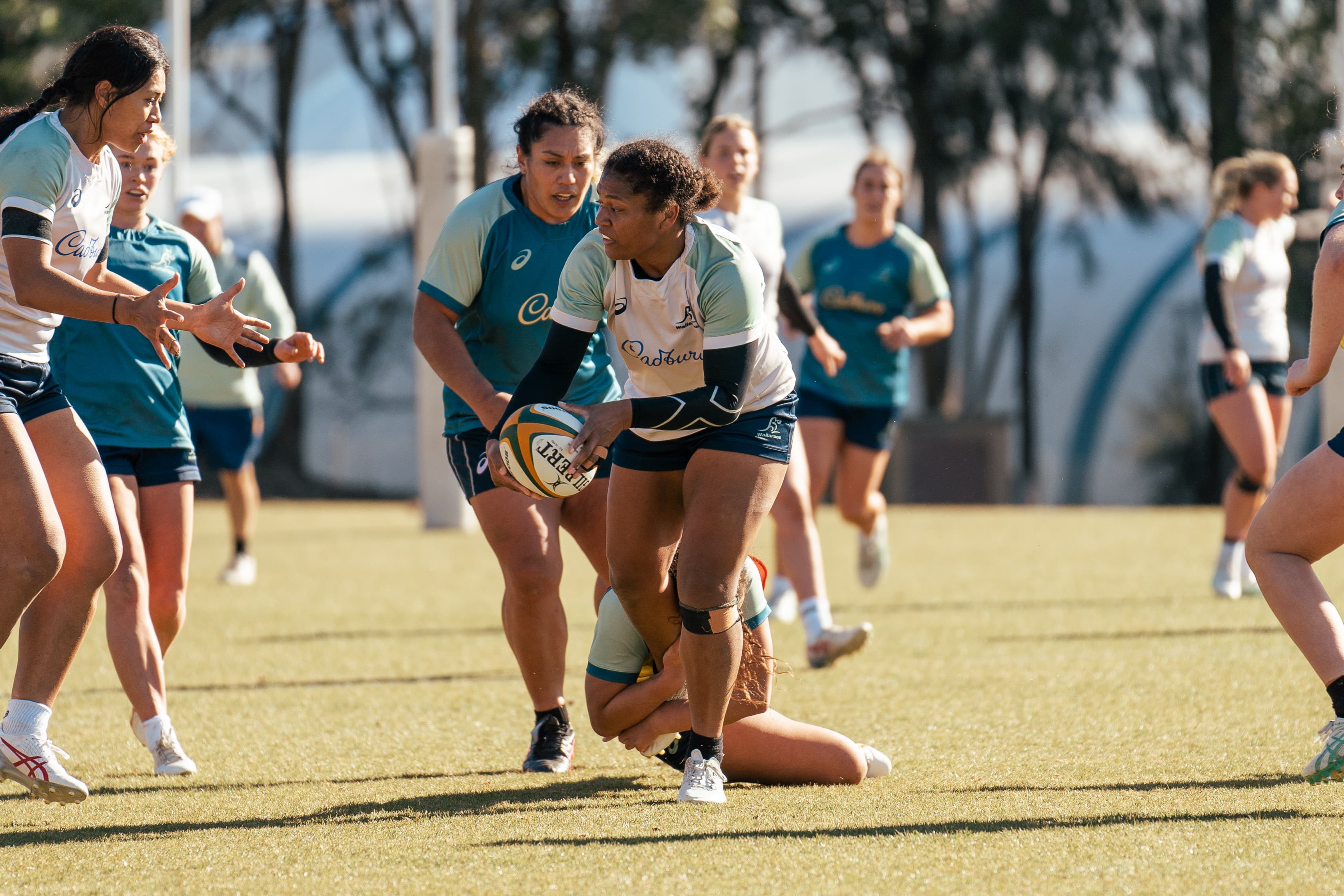 Tabua Tuinakauvadra Wallaroos AIS