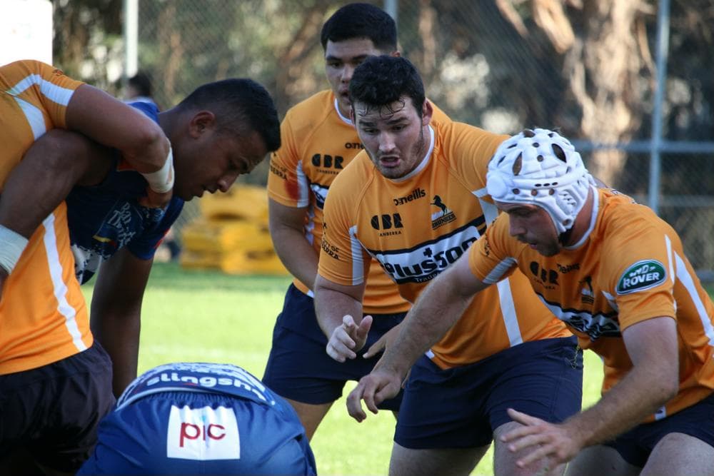 Photo: BrumbiesMedia