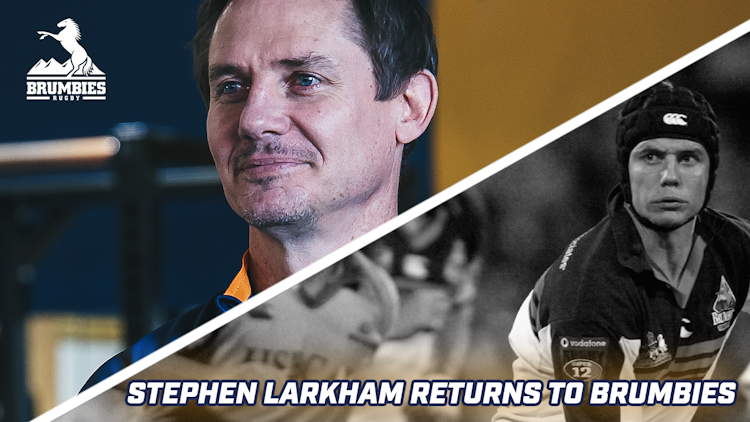 Stephen Larkham returns to the Brumbies
