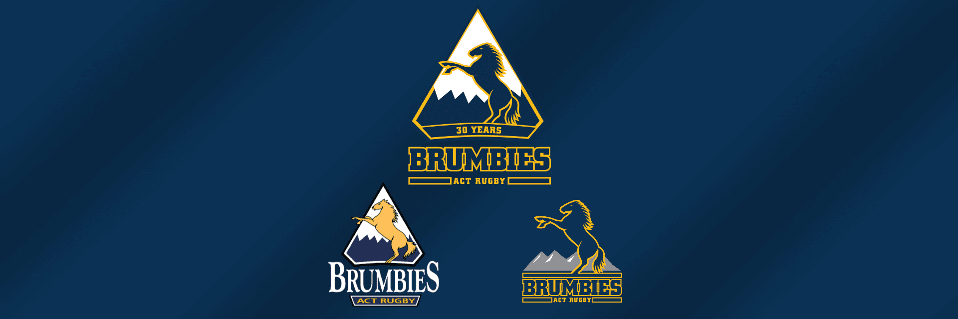ACT Brumbies 30 Years Logo